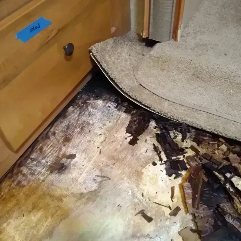 Best Wood Floor Water Damage Service in Amory, MS